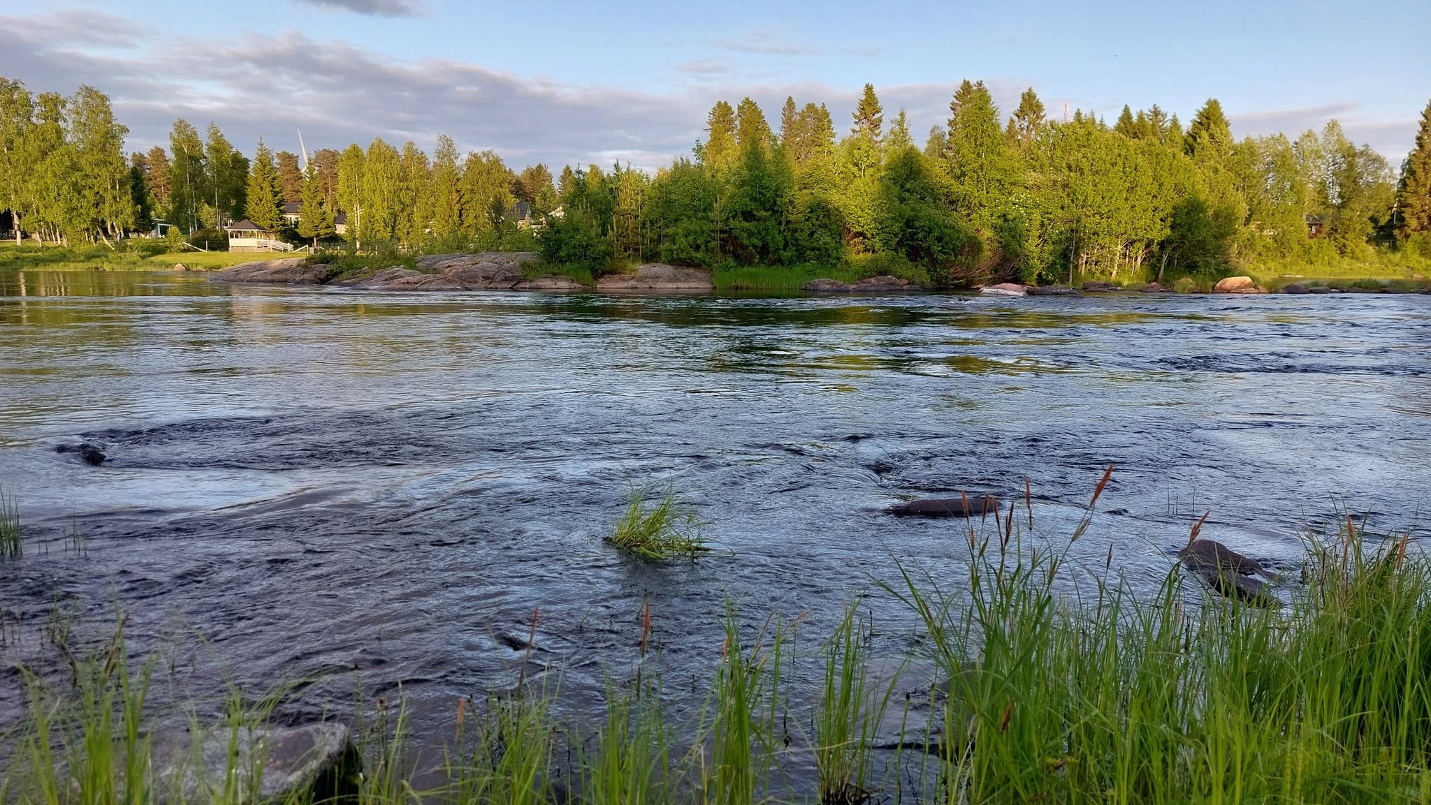 Simojoen virtaava vesi ja vehreä metsäinen vastaranta
